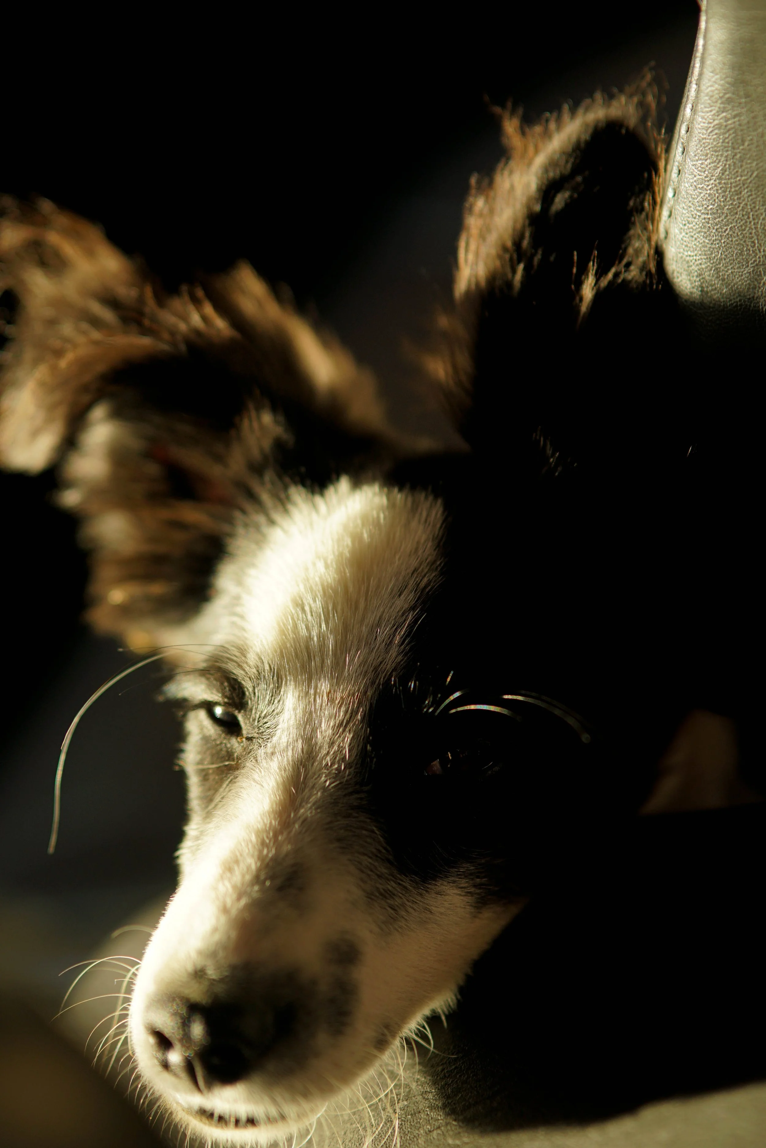 Не обичам да губя време в сън