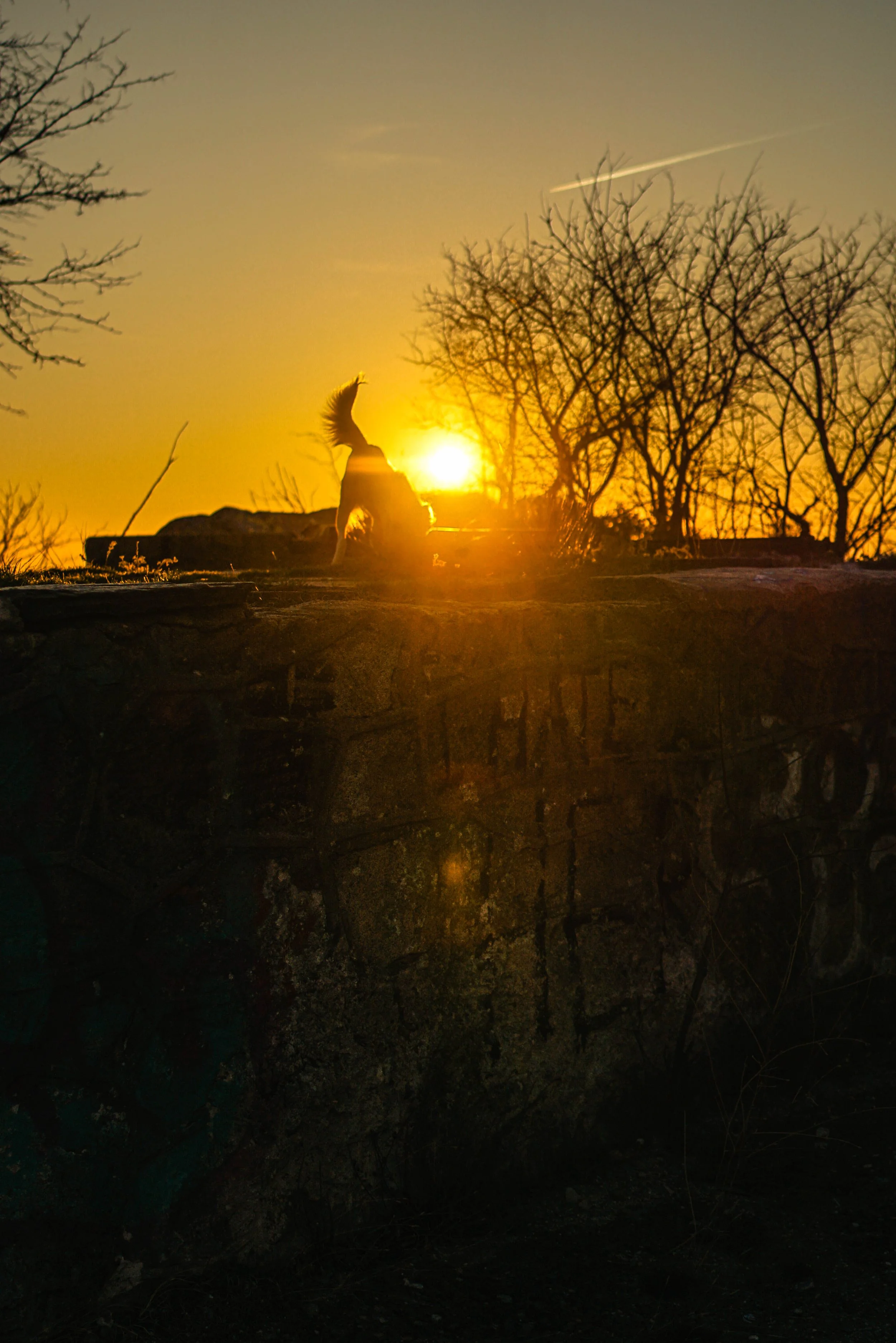 зимното Слънце на Сахат Тепе