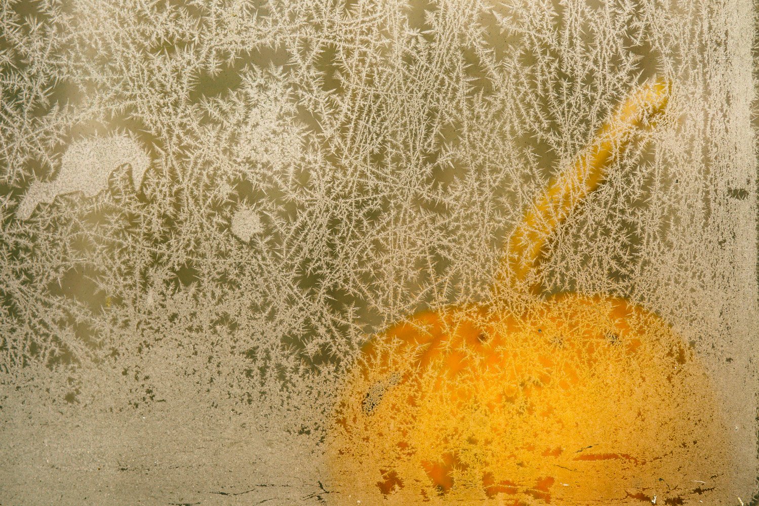 Frozen Pumpkin 2021.jpg