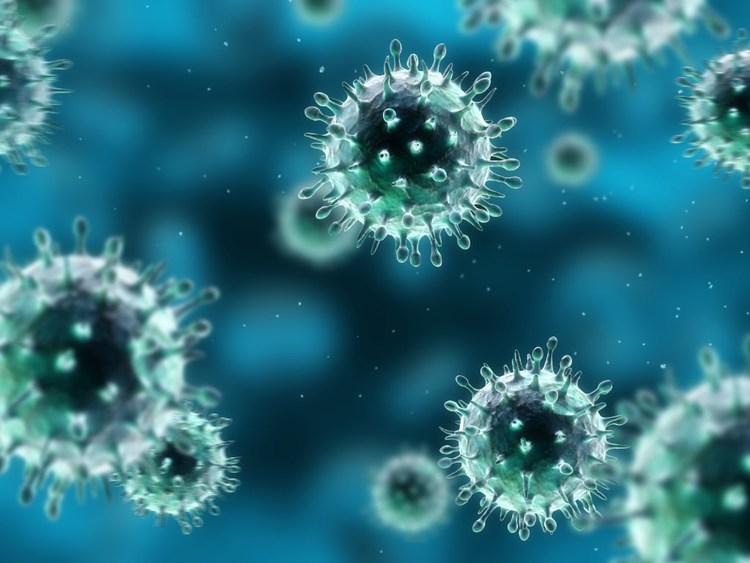 hpv virus of herpes
