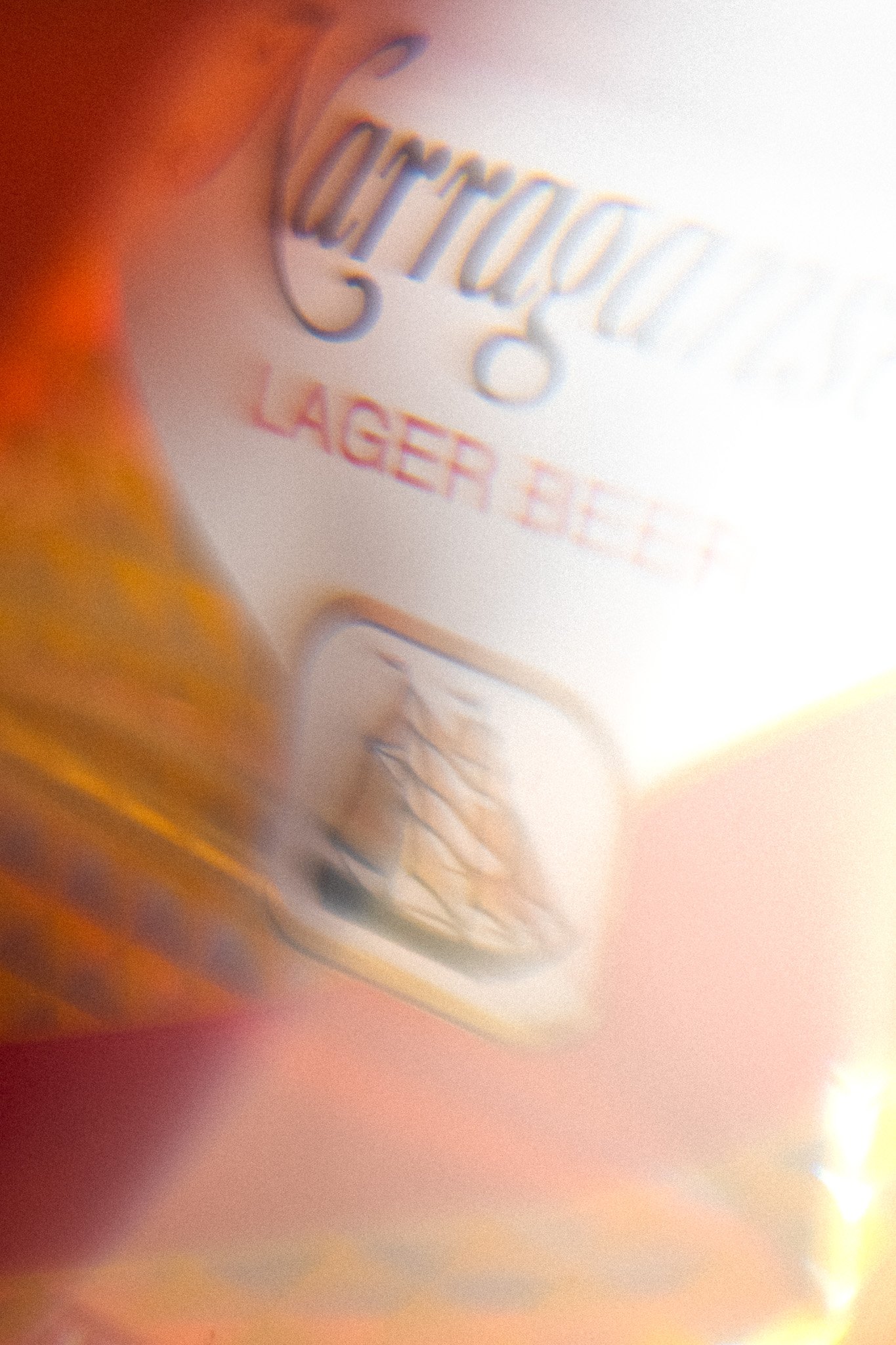 L1009709.jpg