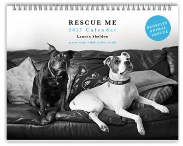 calendar_Cover_web.jpg