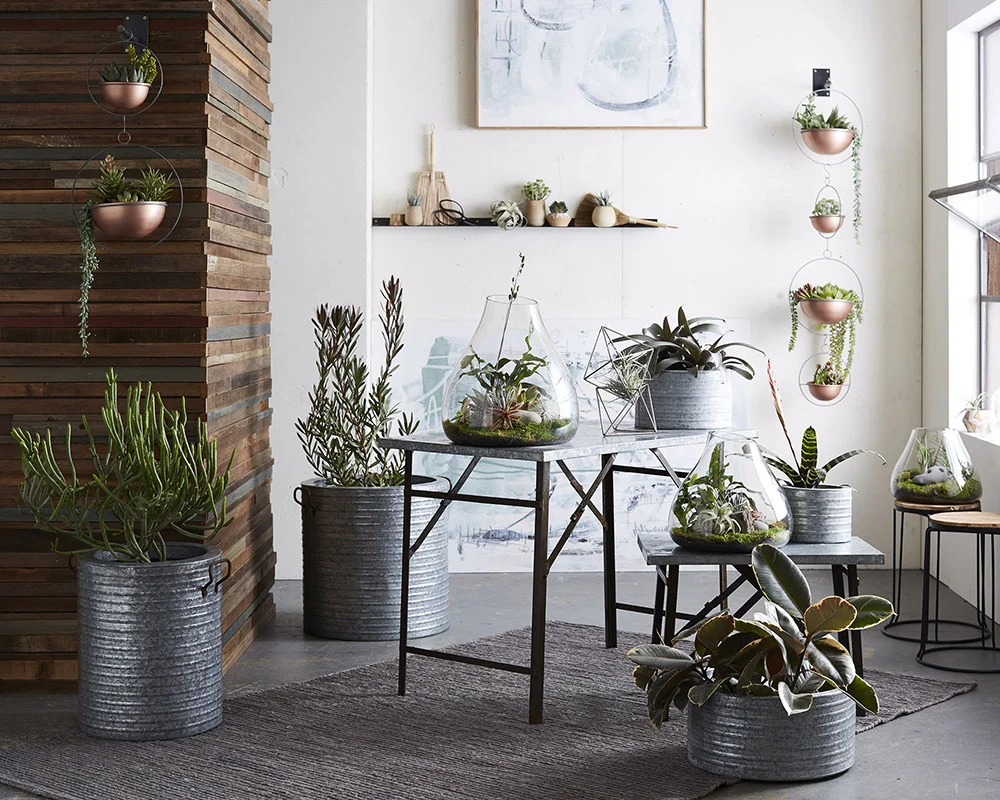 R278_Pecos_Planters_V1.jpg