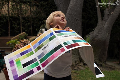 solids_color_card.jpg