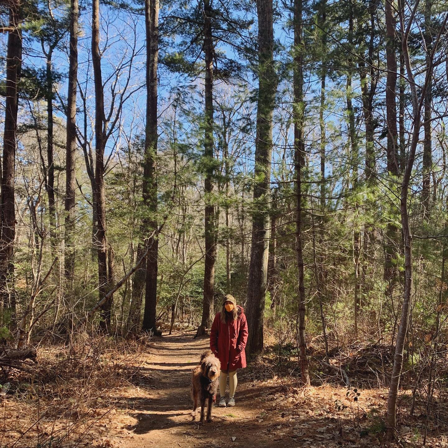 Hiking is Charlie&rsquo;s second favorite weekend activity, following right behind expensive and ultimately unnecessary trips to the vet.