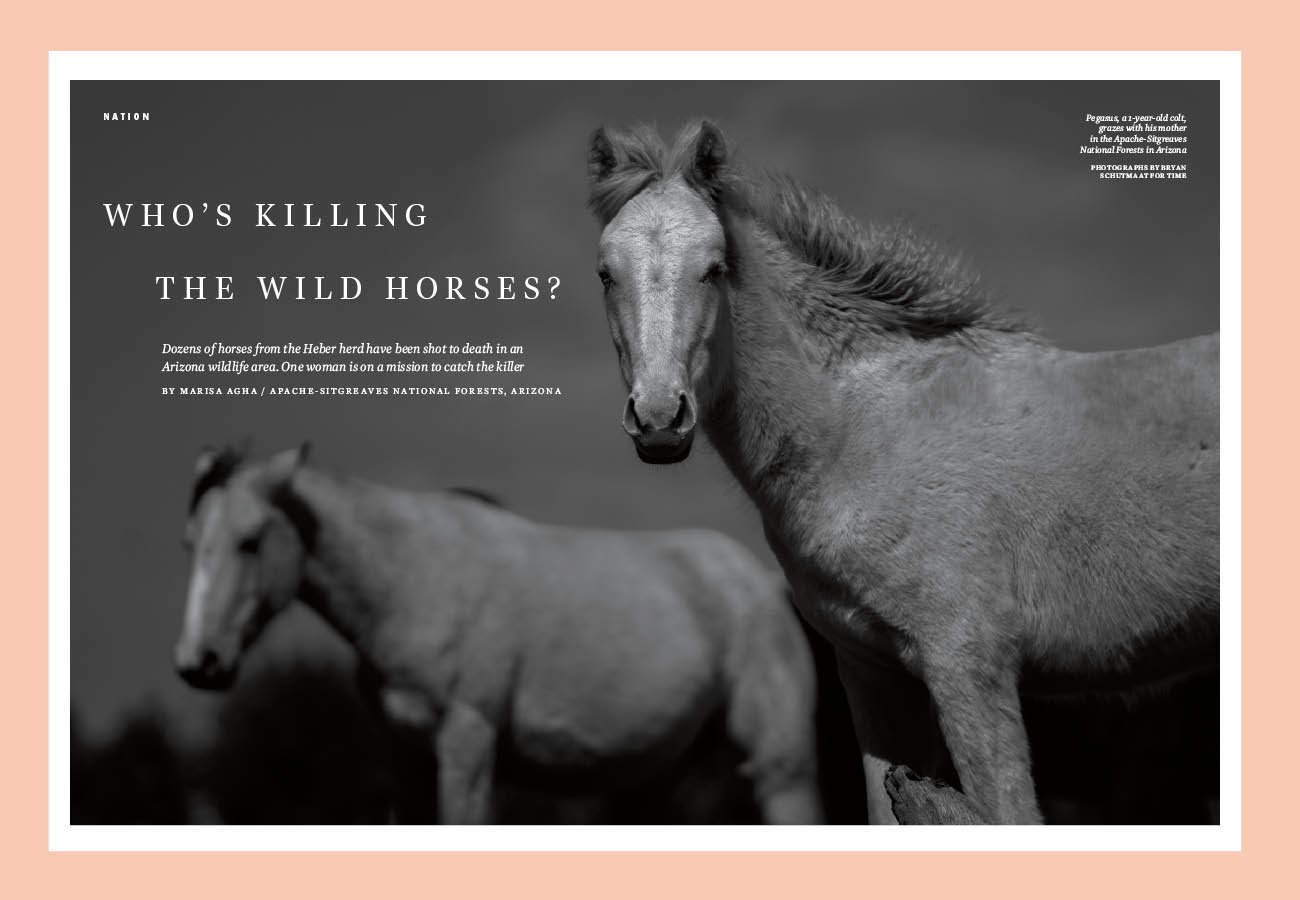 Who's Killing The Wild Horses?, 2022