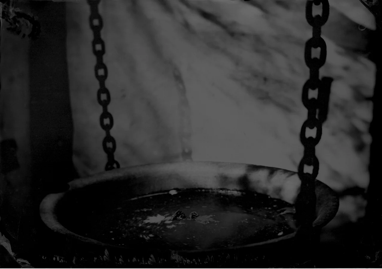 This is a wetplate collodion image on aluminum, taken this spring at John Coffer’s place in upstate NY.