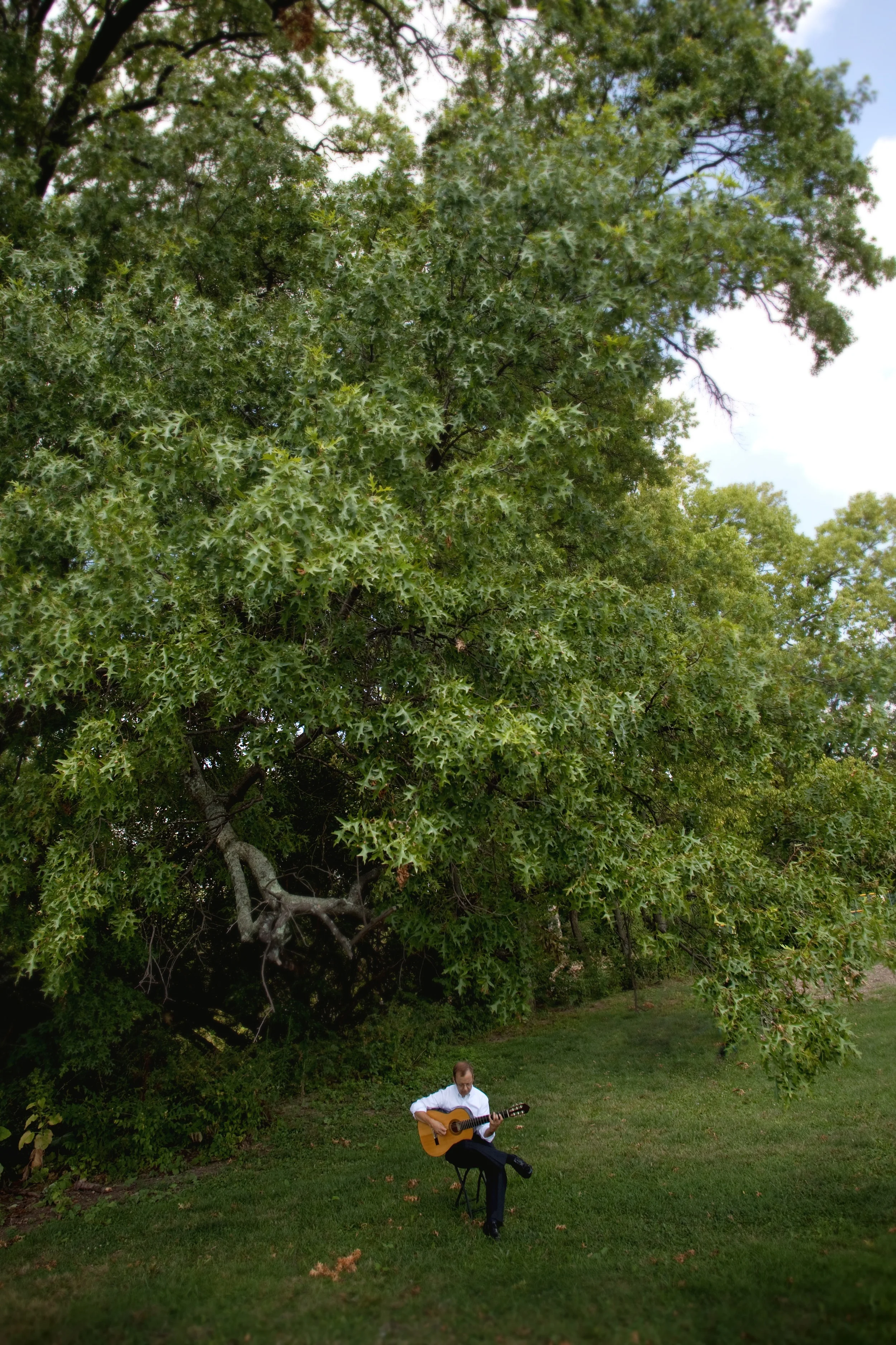 trees.jpg