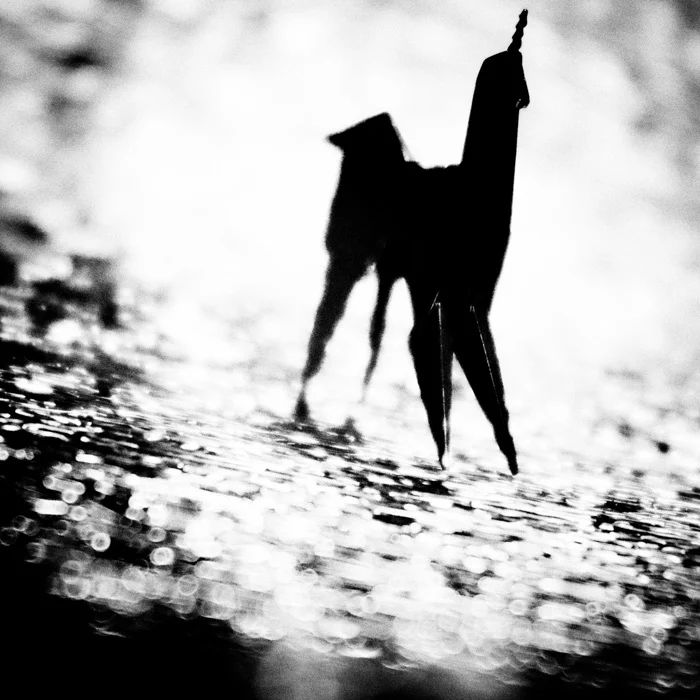 mbain_20100609_007.jpg