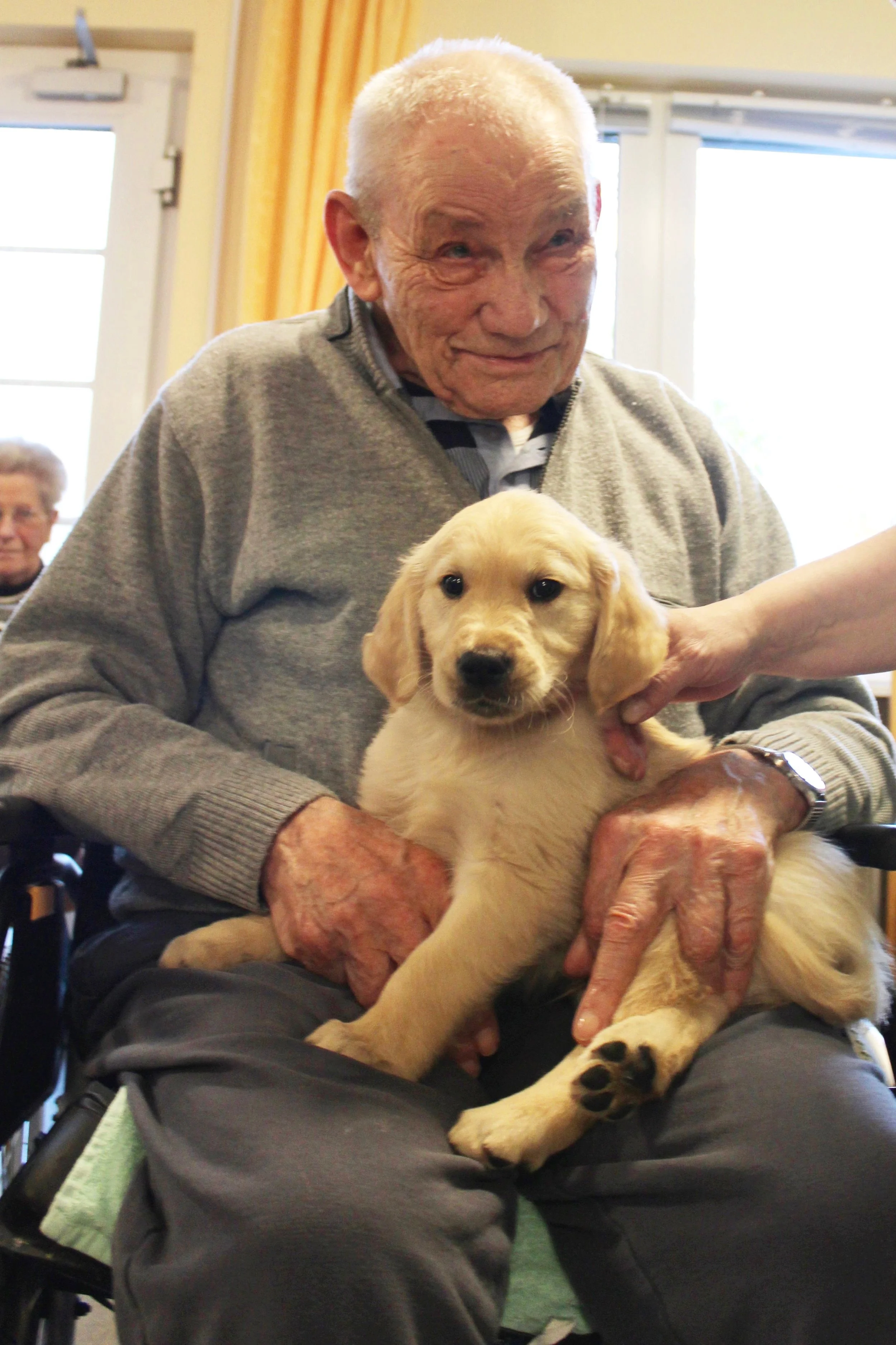 Hundebesuch4.jpg