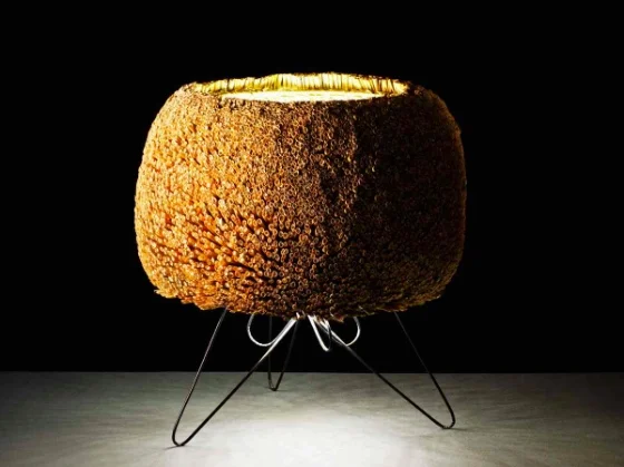 Junco Table lamp made from reeds