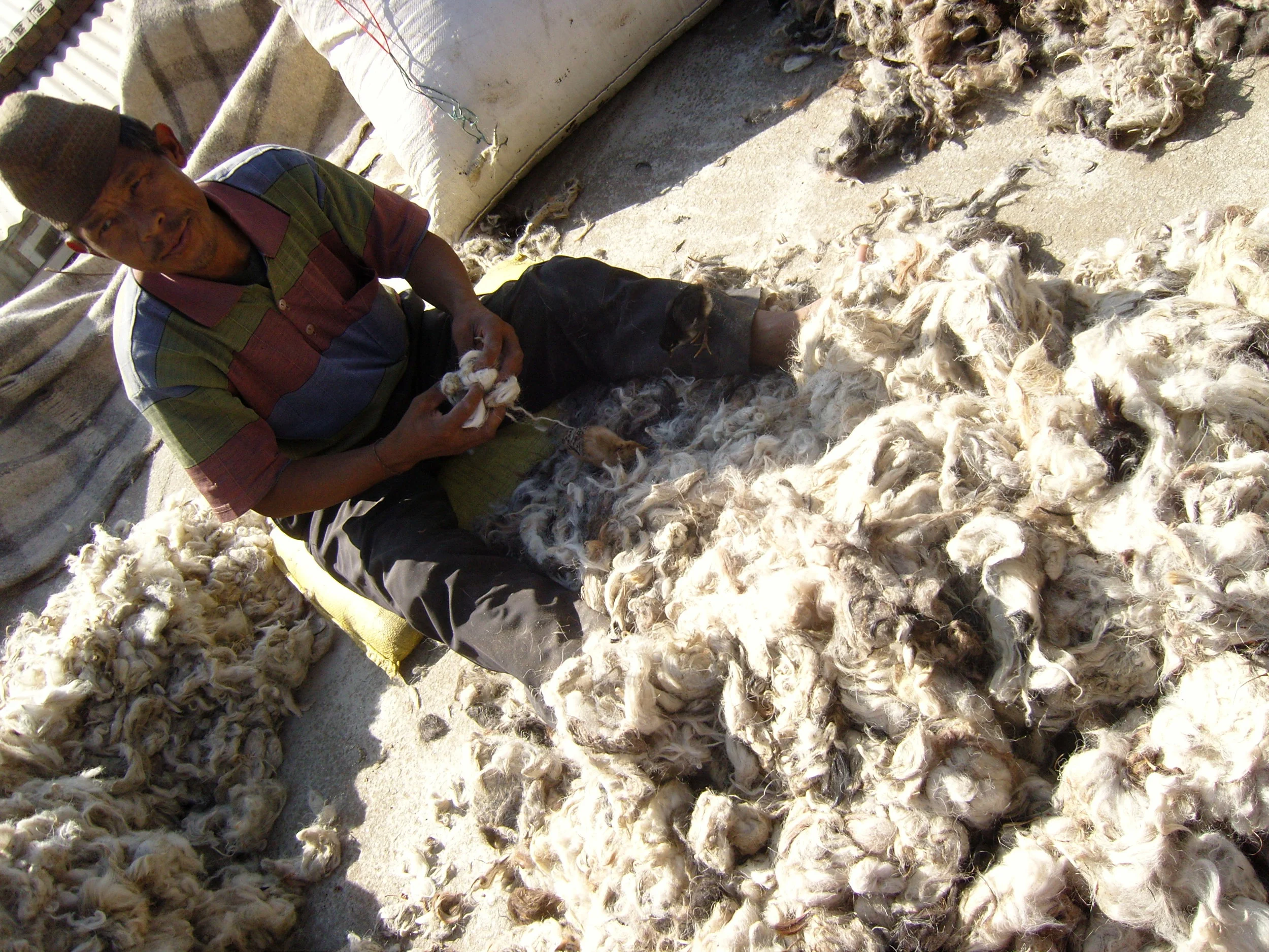 Sorting wool for spinning