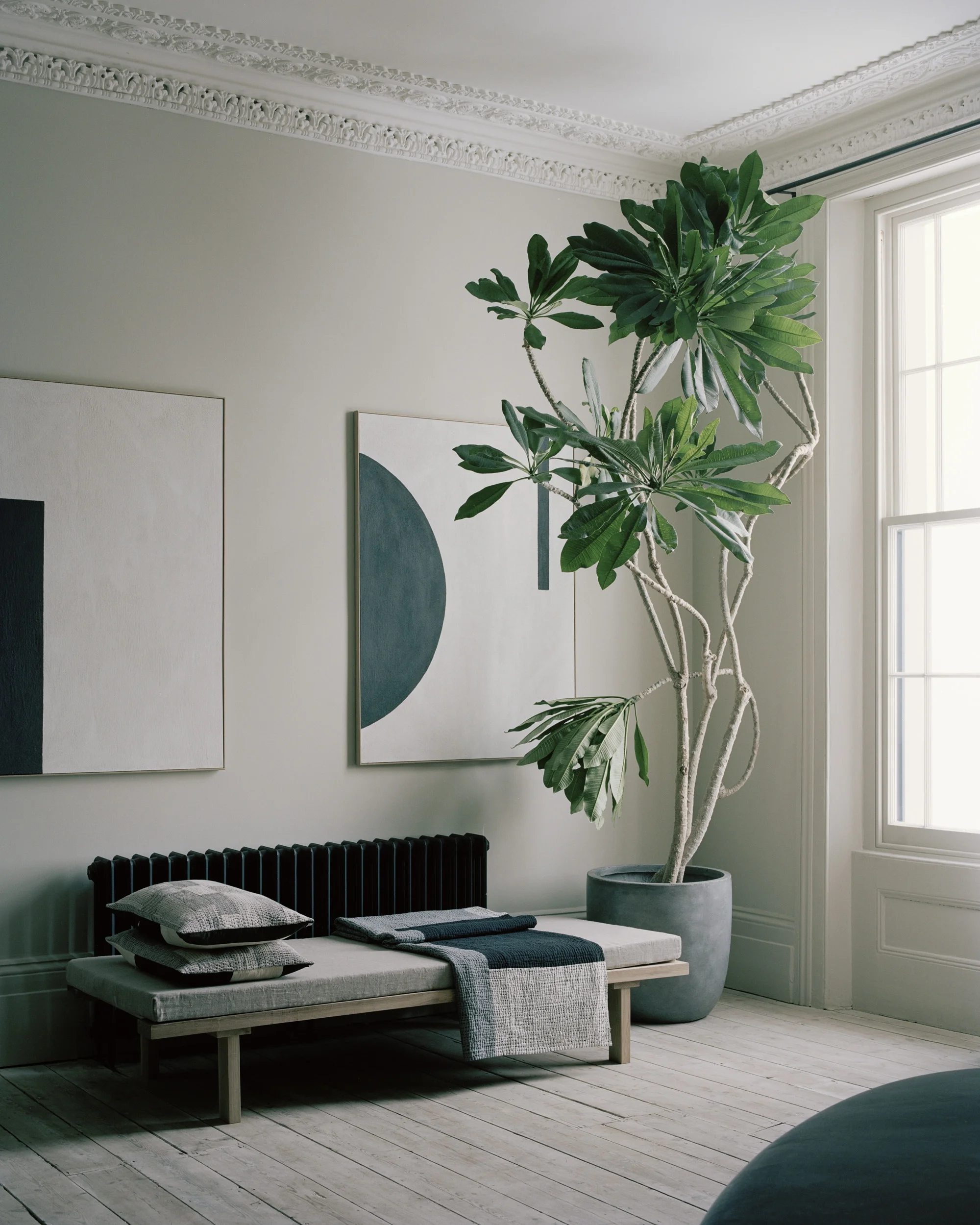 House of Grey, photo: Rory Gardiner
