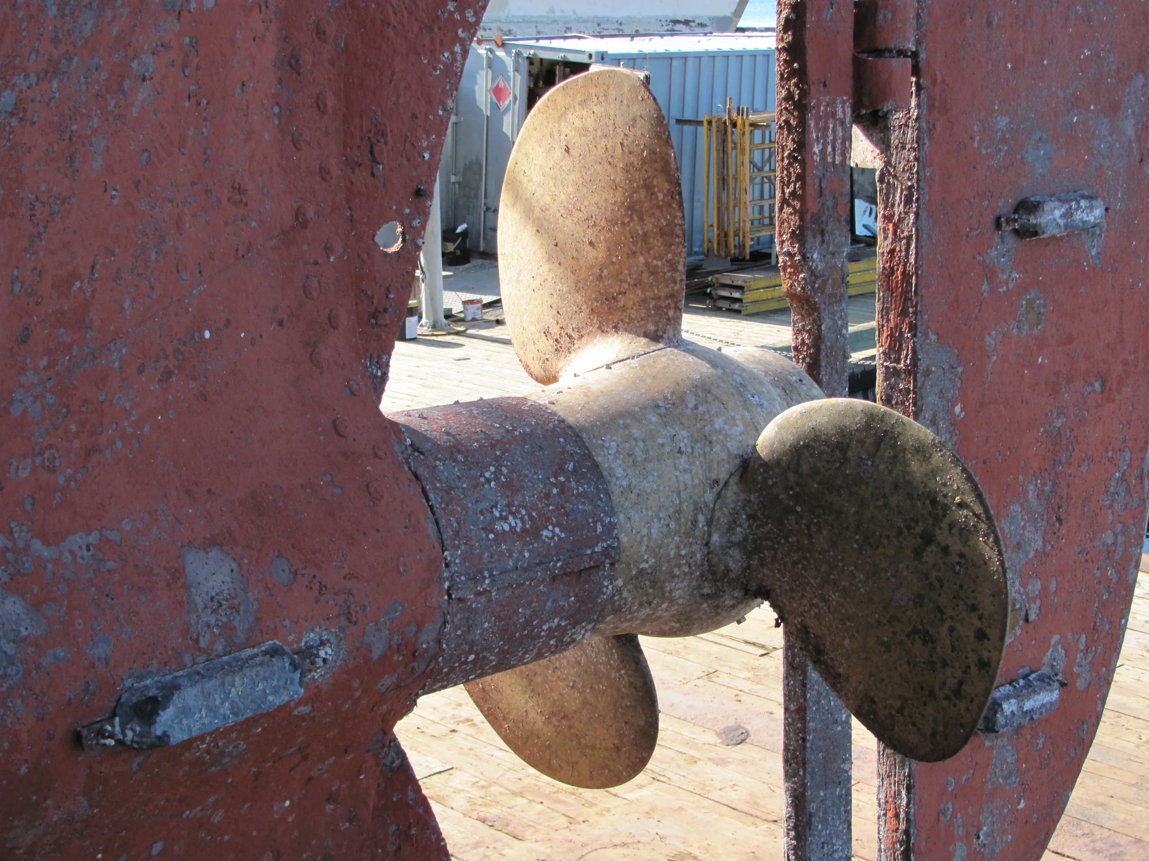 15. Typical view of propeller blade before cleaning..JPG