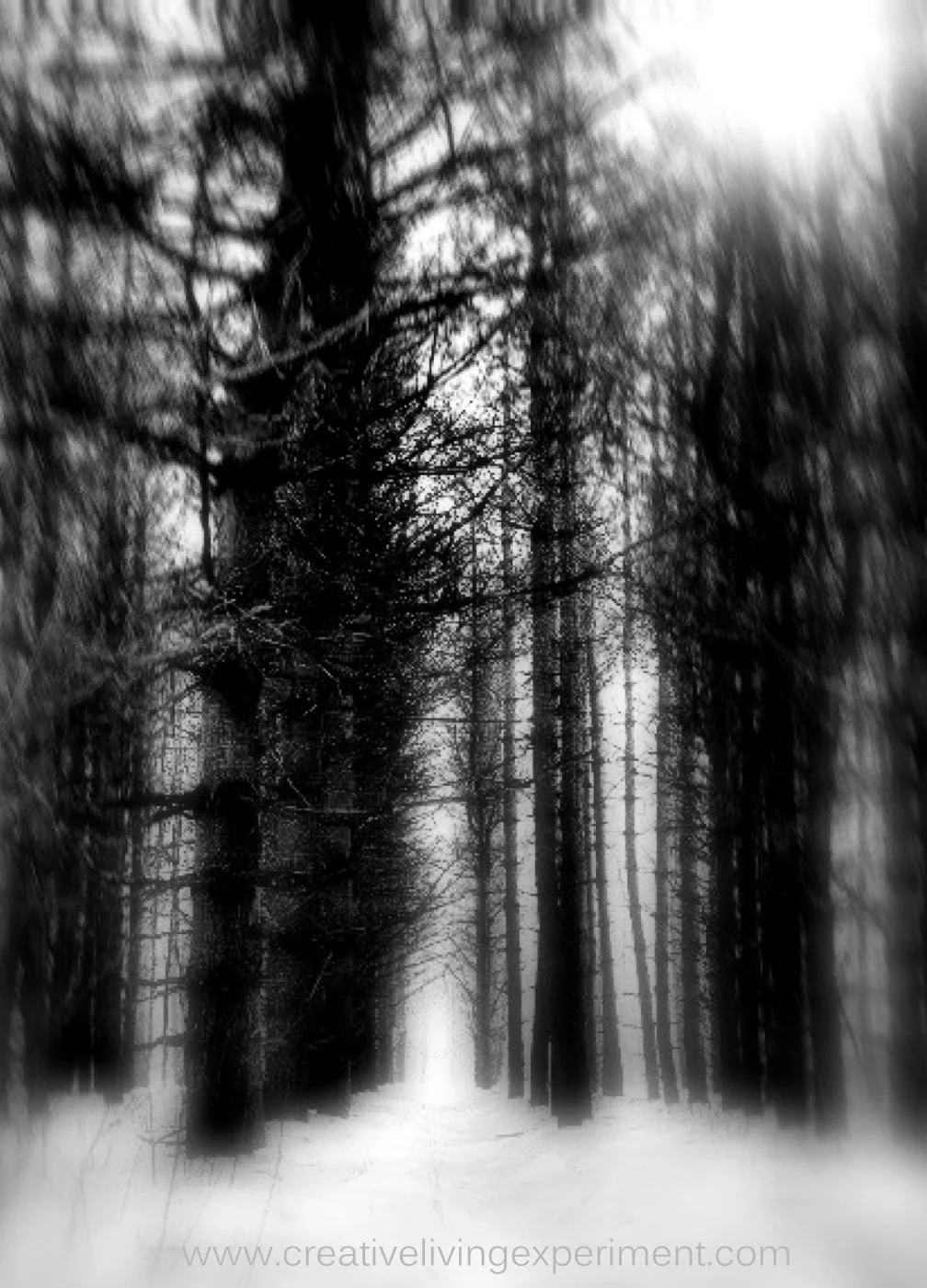 IntoTheShadows_cr_600pxCLE(3726).jpg