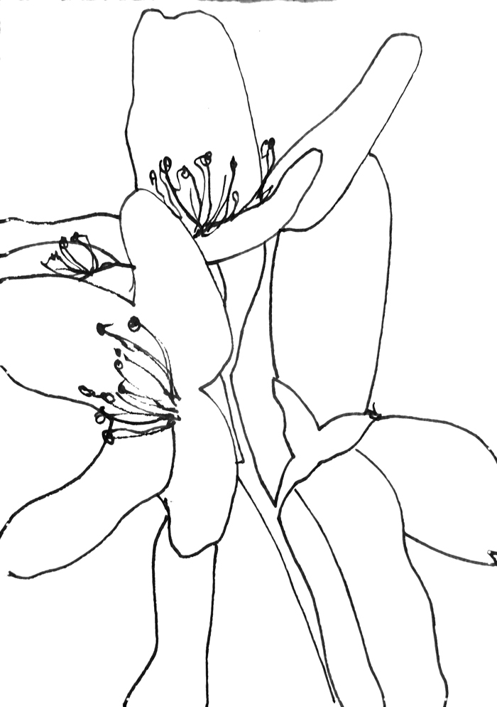 Day 11
