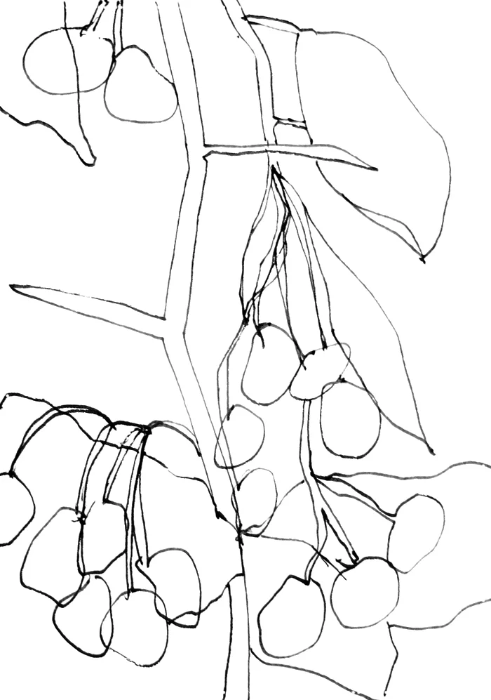 Day 18