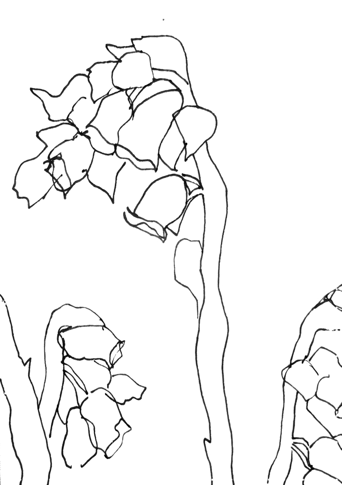 Day 20