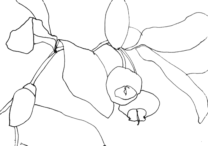 Day 10