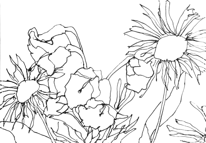 Day 49