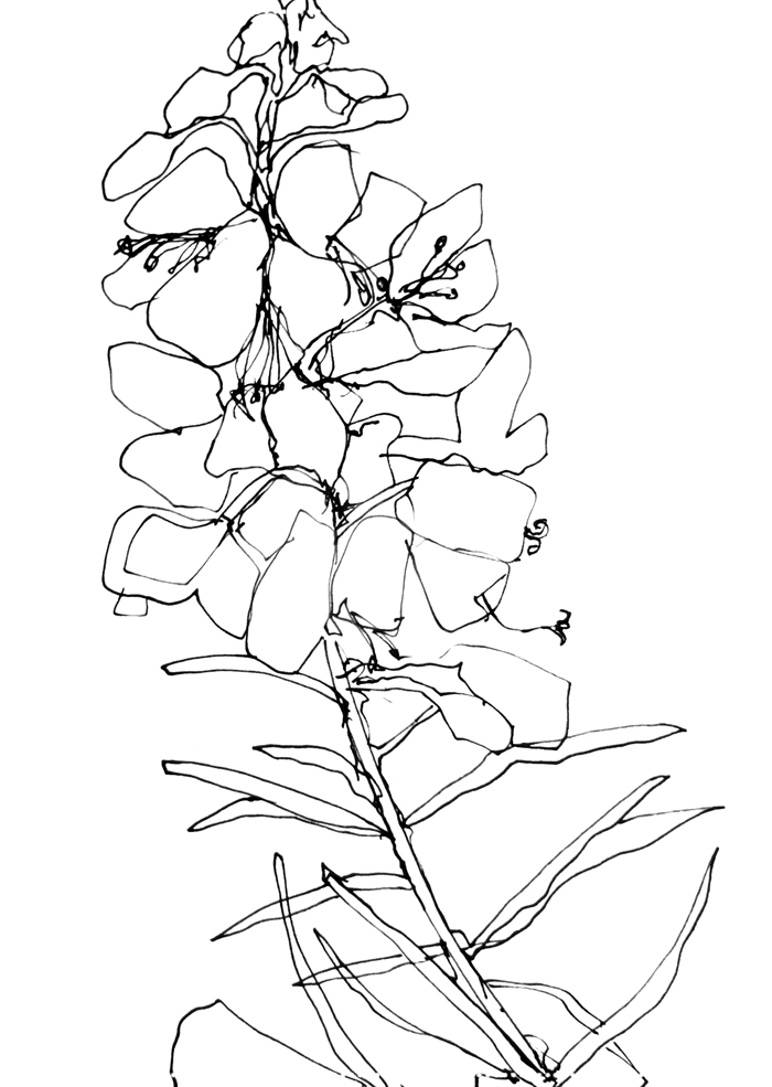 Day 31