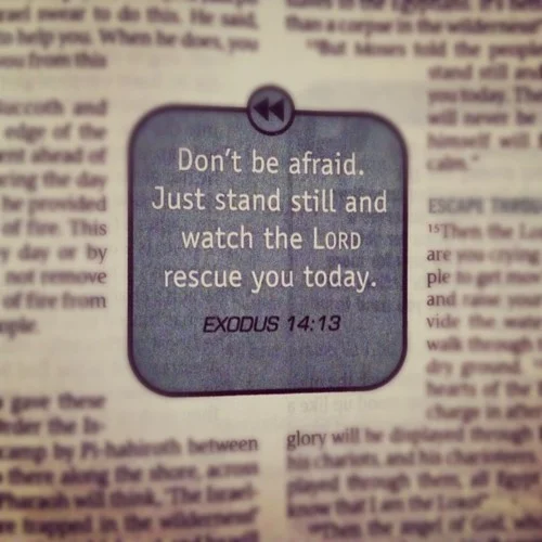 exodus14.13.jpg