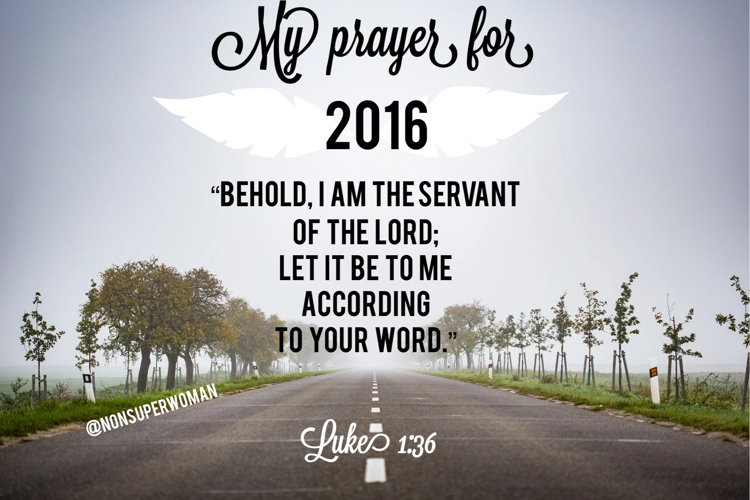 My Resolution for 2016: I Give Up