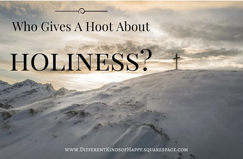 Who Gives a Hoot about Holiness?