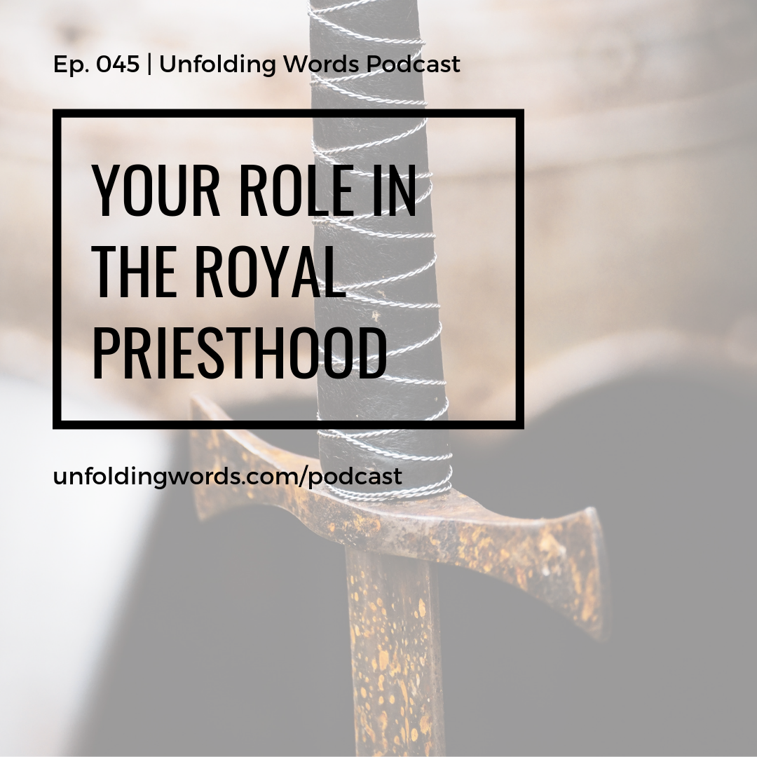 Your Role In the Royal Priesthood? Ep 045