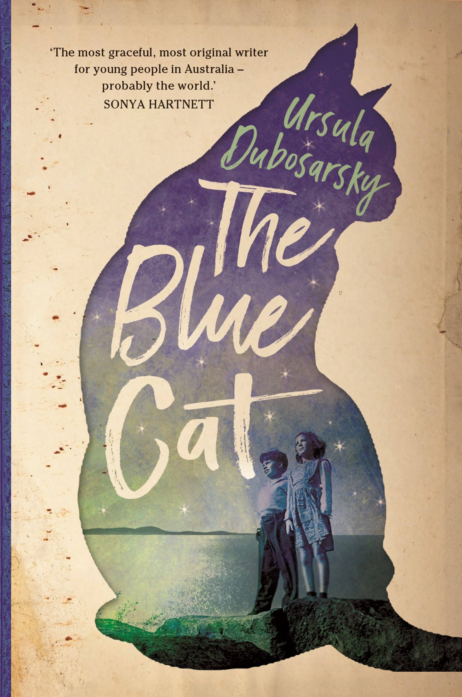 blue cat cover 1.jpg