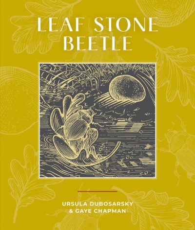 NEW Leaf Stone Beetle COVER.jpg