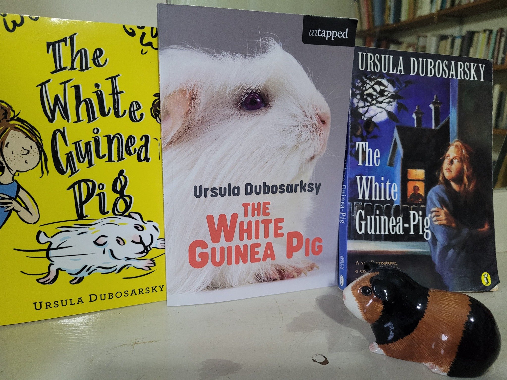 untappe white guinea pig.jpg