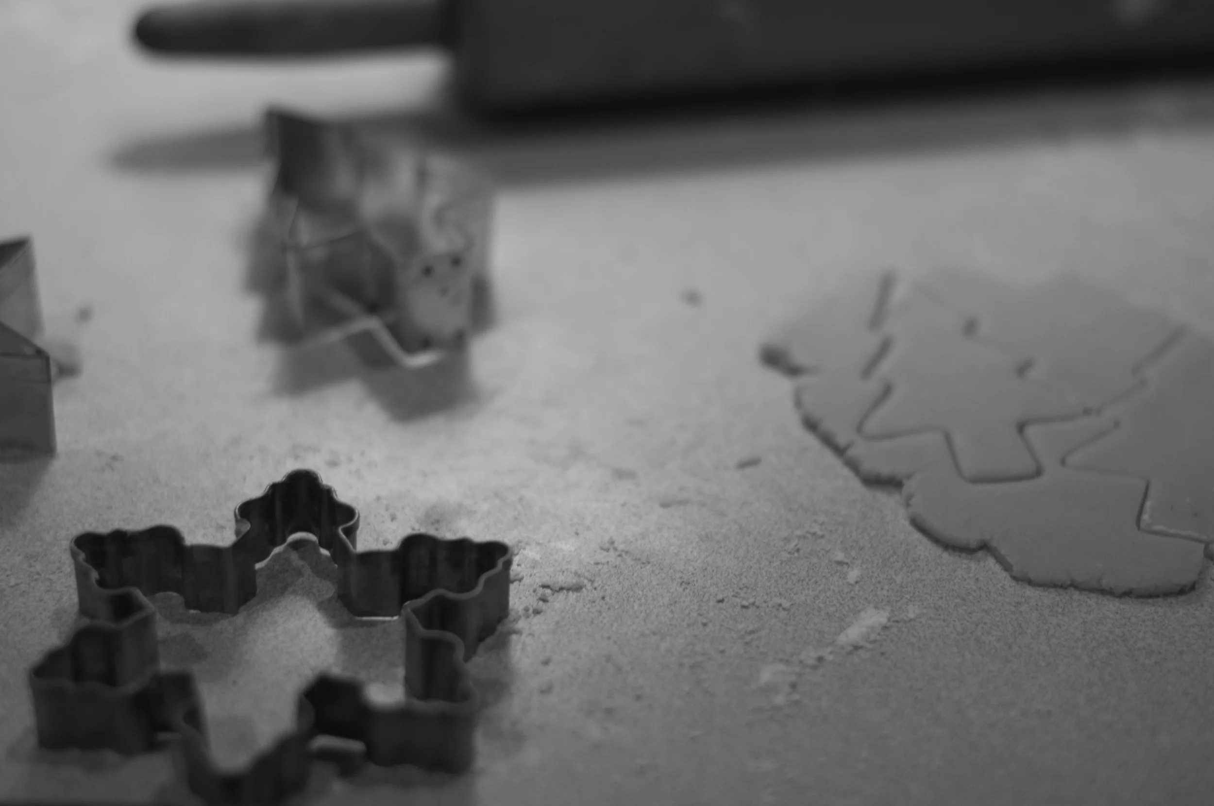 Christmas_2011-24.jpg