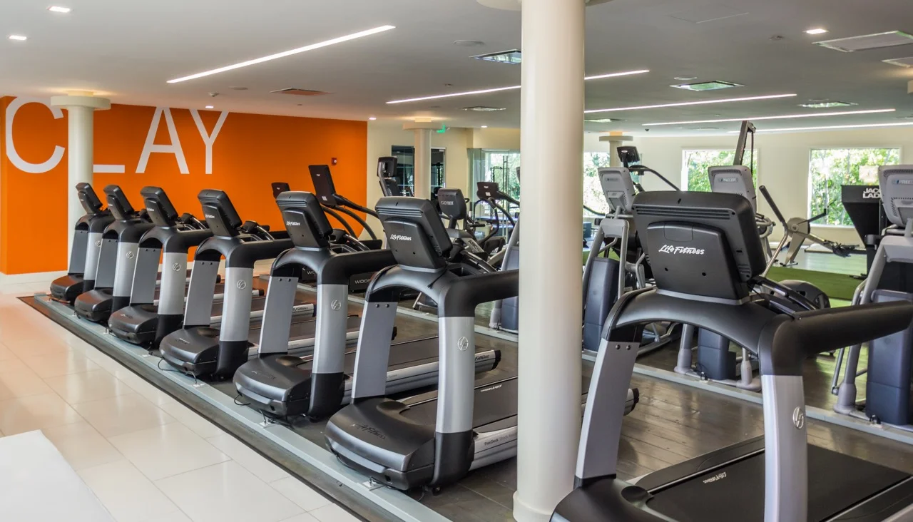 Clay Gym — Andrew Southern Consulting