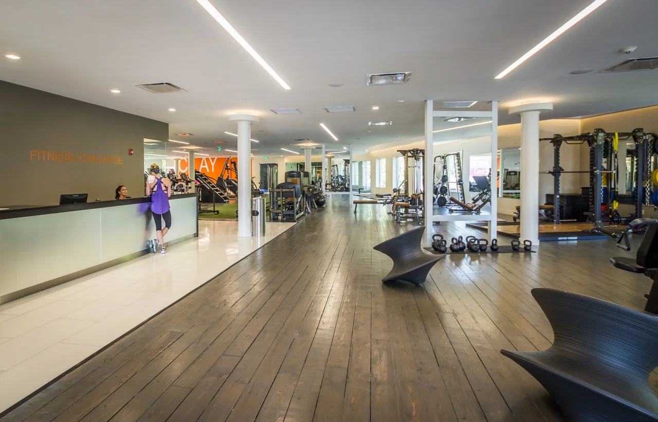 Clay Gym — Andrew Southern Consulting