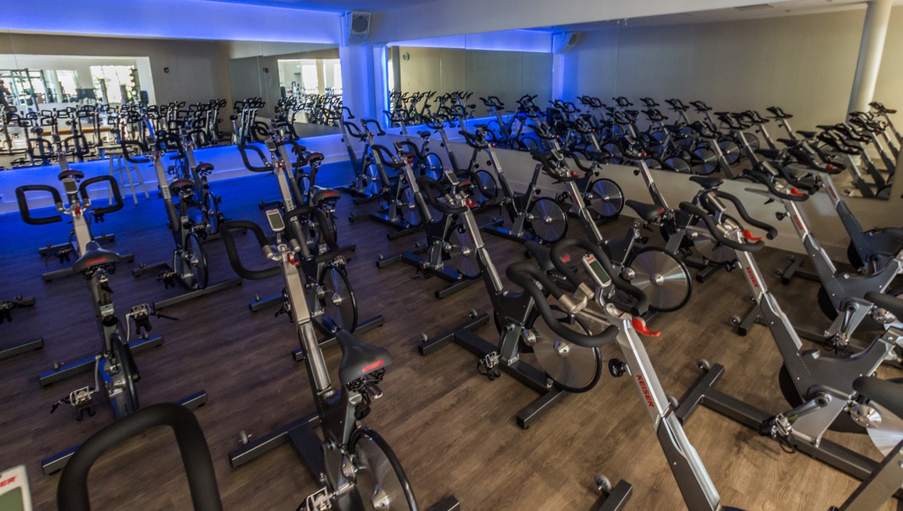 Clay Gym — Andrew Southern Consulting