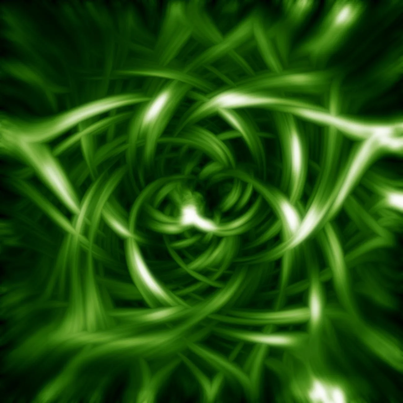 Green Pattern.jpg