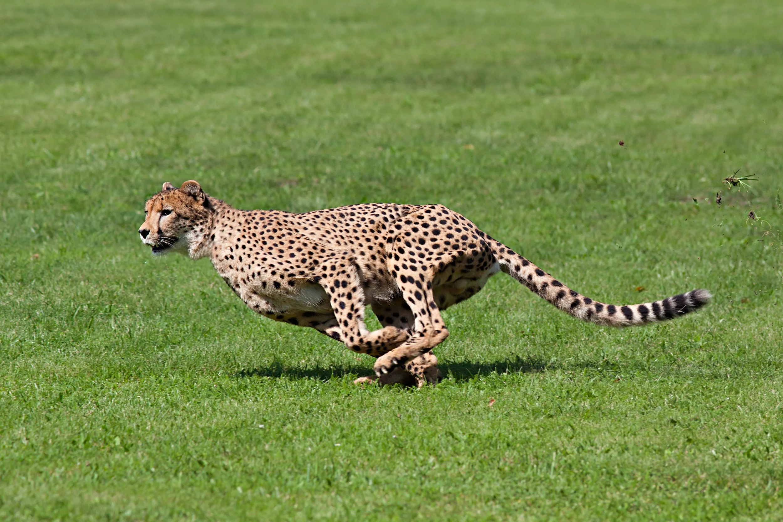 Agile Foundations One-Day Class