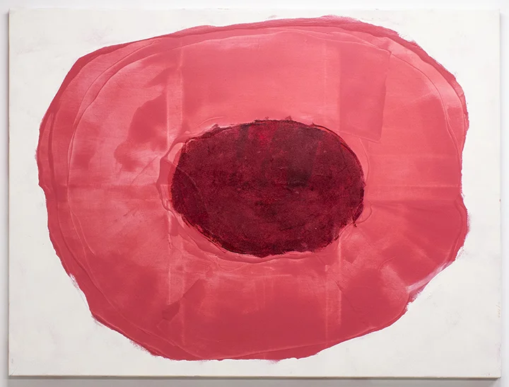 Rose Blotch , 2013, acrylic on panel, 36"x48", Artist's Collection