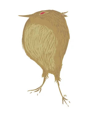 LilBird.jpg