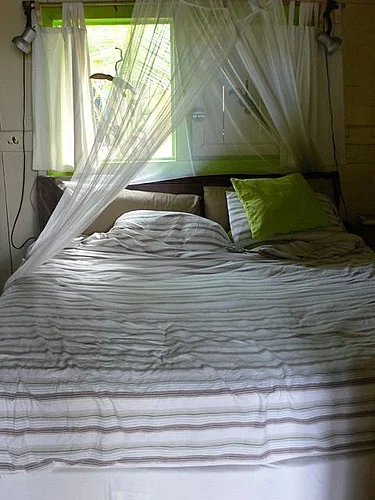 bocas del toro, panama.jpeg