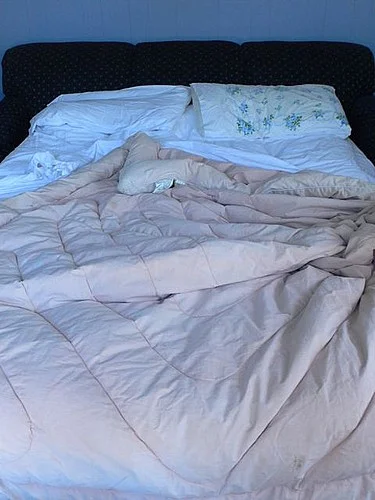 grandma dot's pullout couch.jpeg