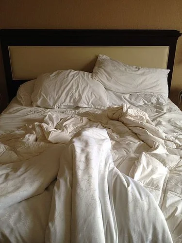 hilton, Raleigh, NC.jpeg