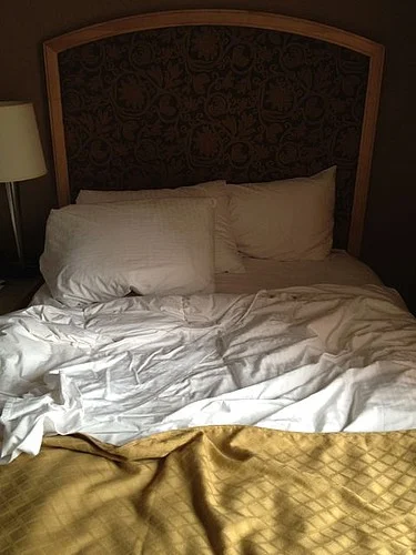 NYC doubletree inn garment district .jpeg