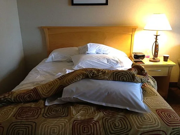 university in, Seattle.jpeg