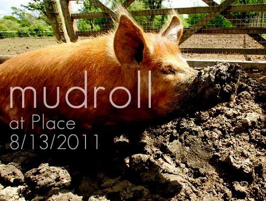 mudroll.jpg
