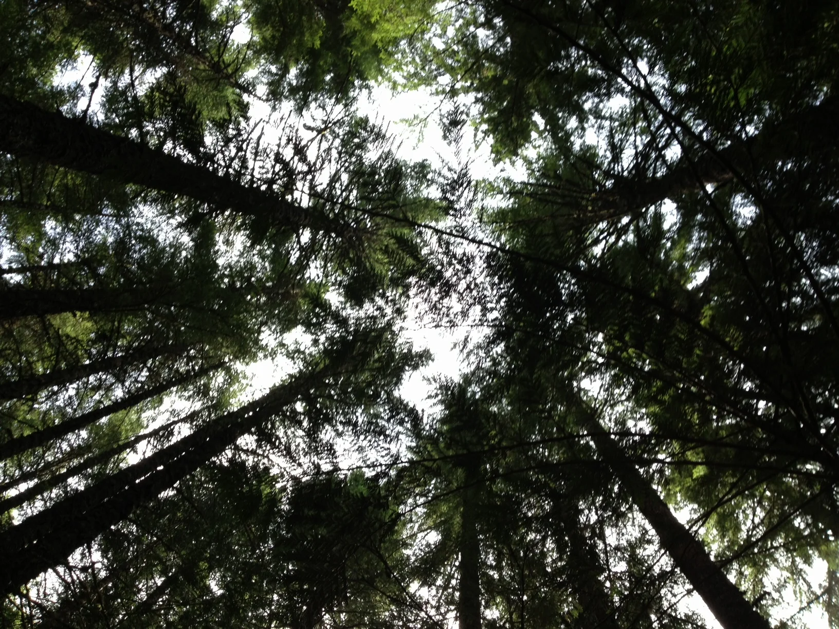 photo-1.JPG