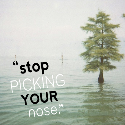 nose.jpg