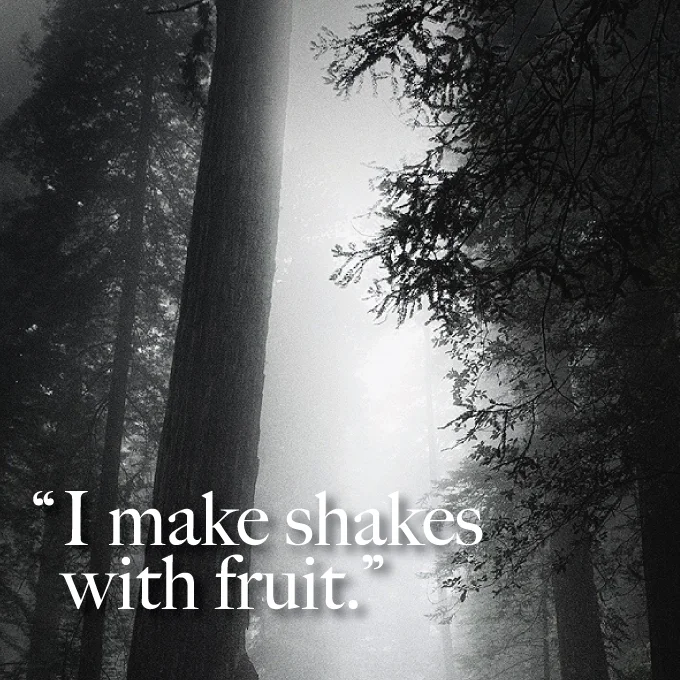 fruit.jpg