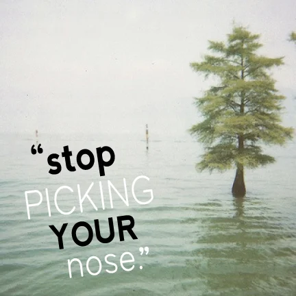 nose.jpg